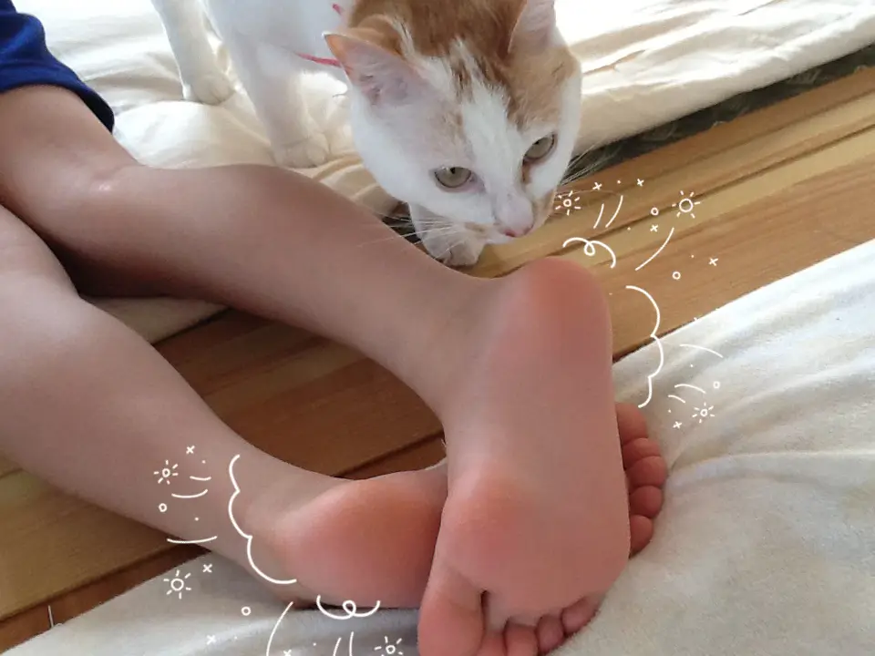 息子の足が人気🦶💦 | 毛づくろいが投稿したフォトブック | Lemon8