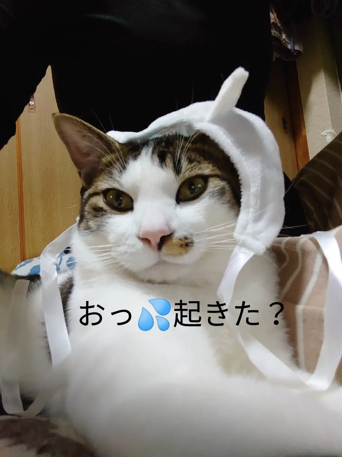 ハロウィンの被り物（笑） | プリズムままが投稿したフォトブック | Lemon8