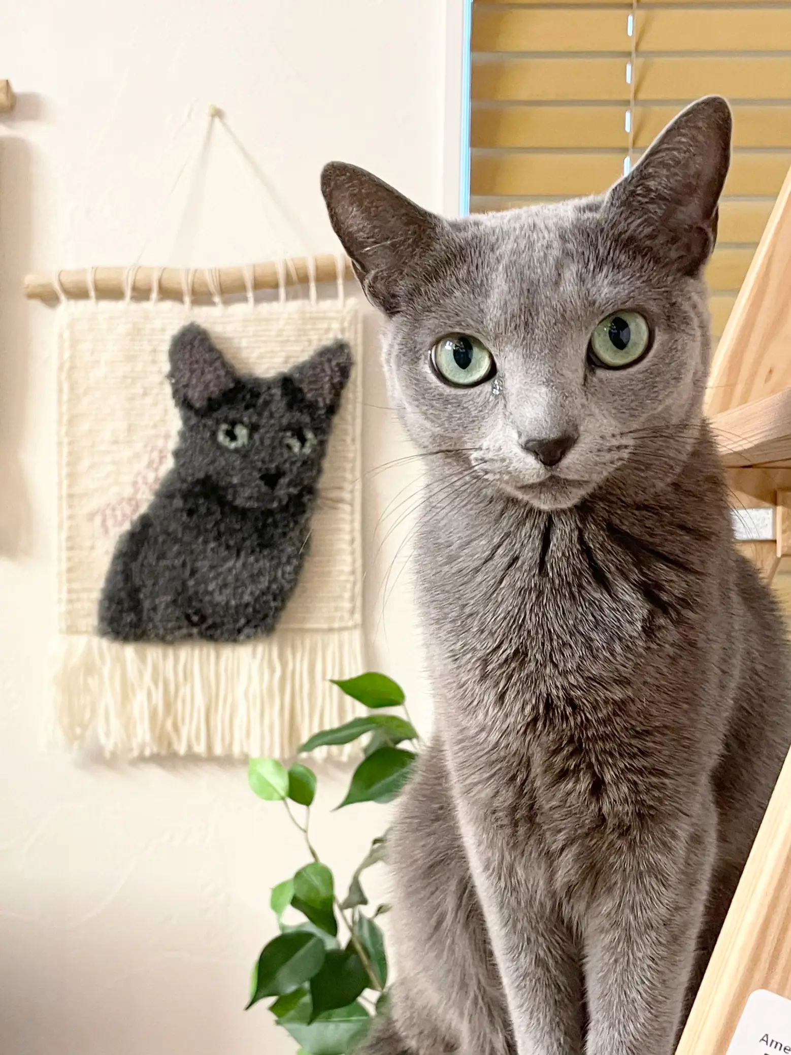 可愛い猫パネル❤️ ❁ 物足りなく Floral Garlandフローラル 