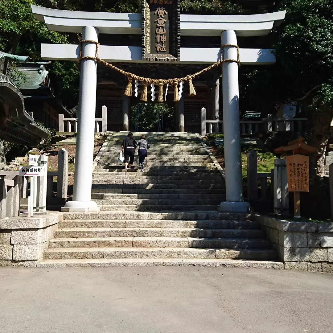 ✴金運のご利益神社✴ | まつ美が投稿したフォトブック | Lemon8