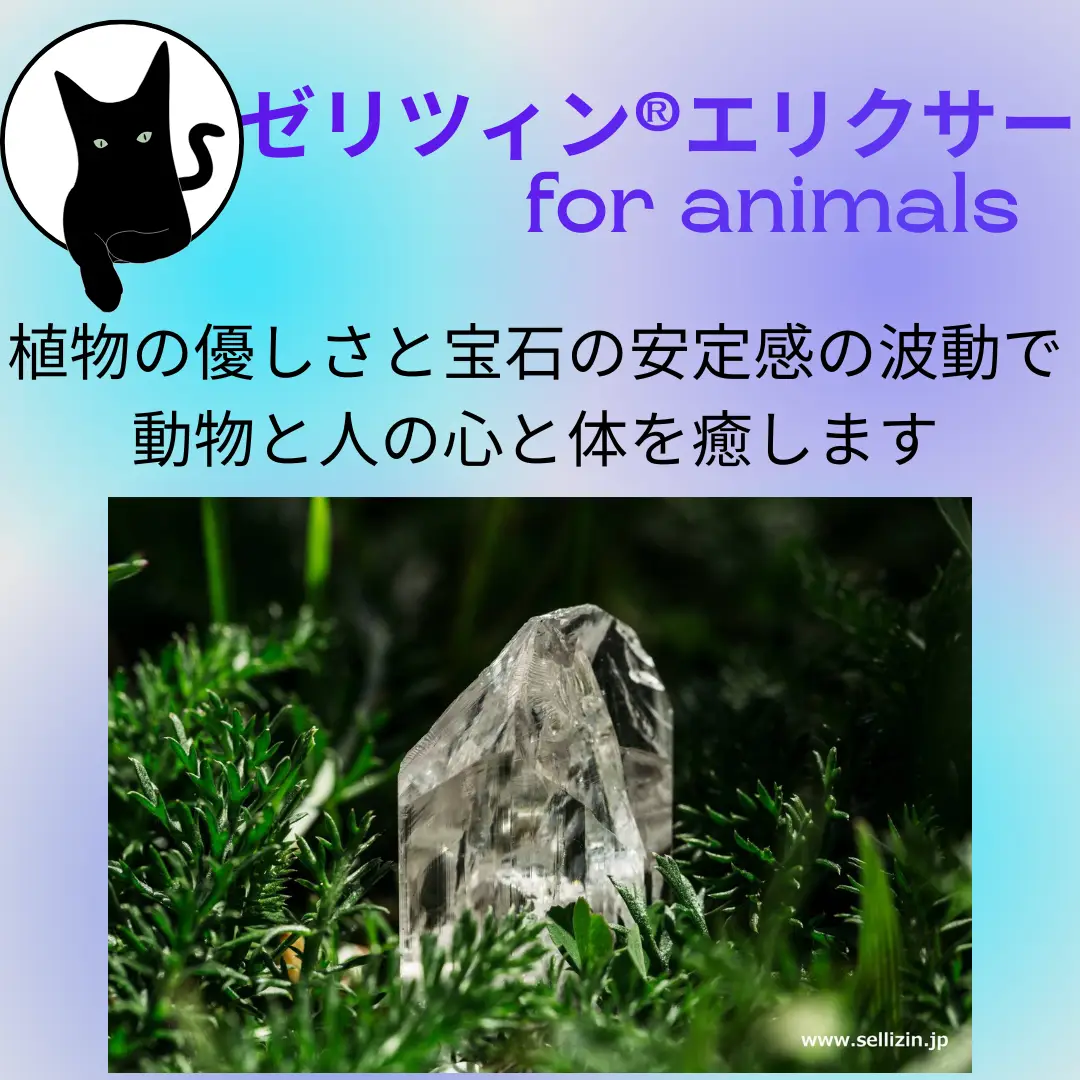 ゼリツィン®エリクサーfor animals | 東蓉子が投稿したフォトブック | Lemon8