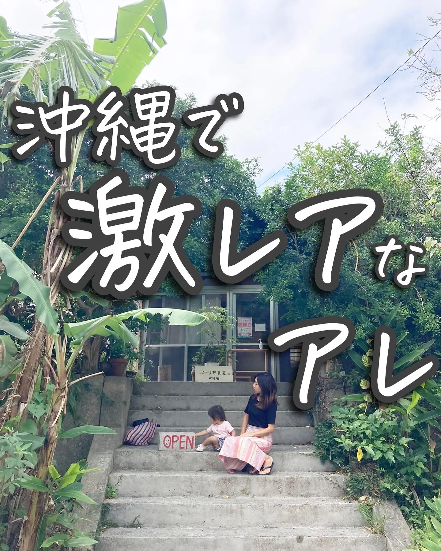 ☆Hawaiian自然素材アルバム激レア☆