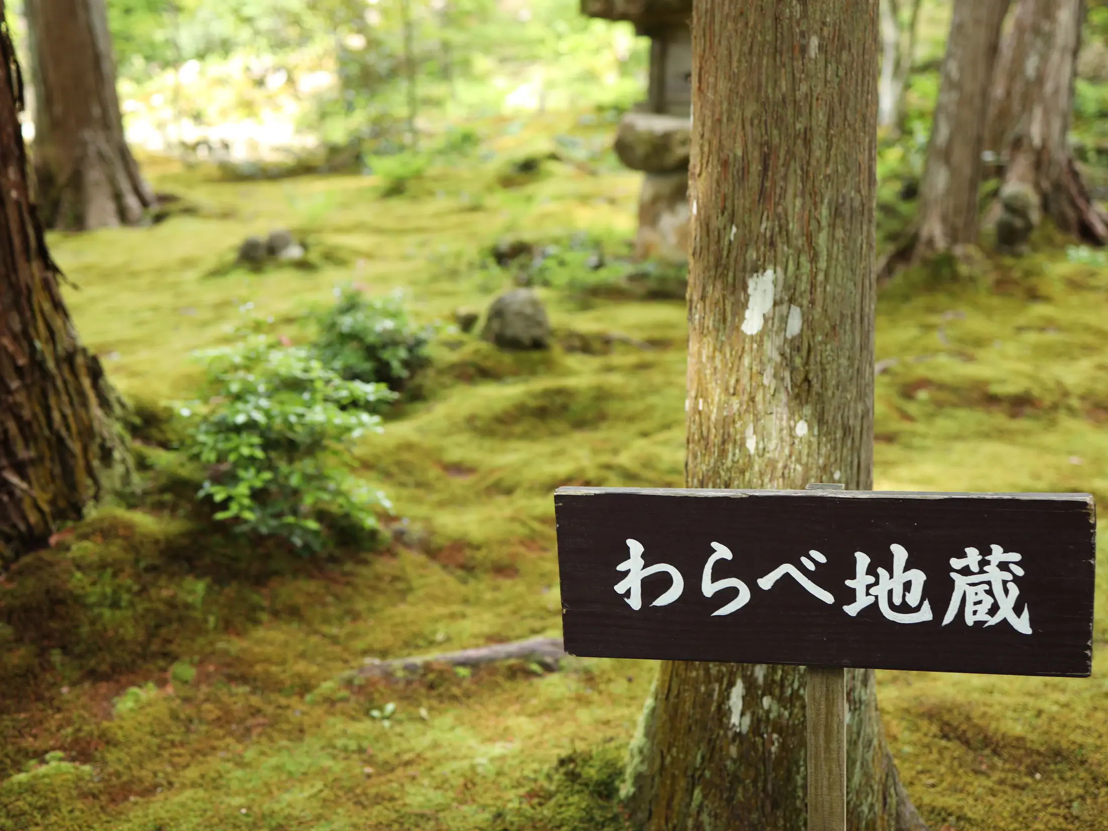 京都]新緑の「三千院」のわらべ地蔵さんに癒される💕💕💕 | あろはれ