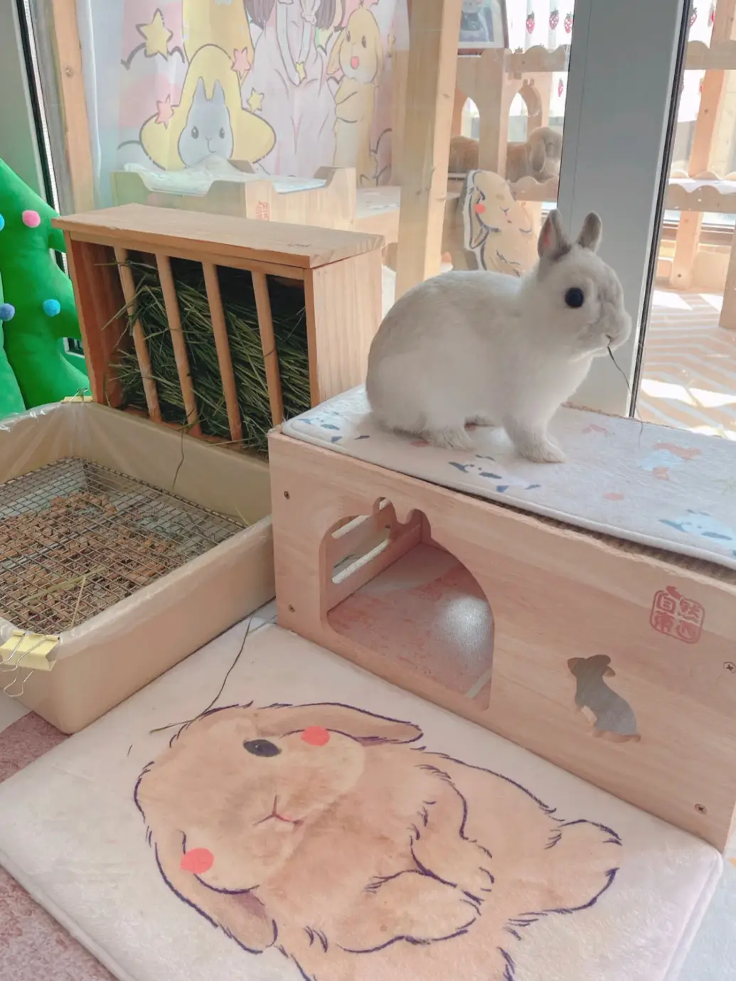 🐰うちの子の専用コーナー💓うさぎ用品⭐️ウサギ用フィーダー