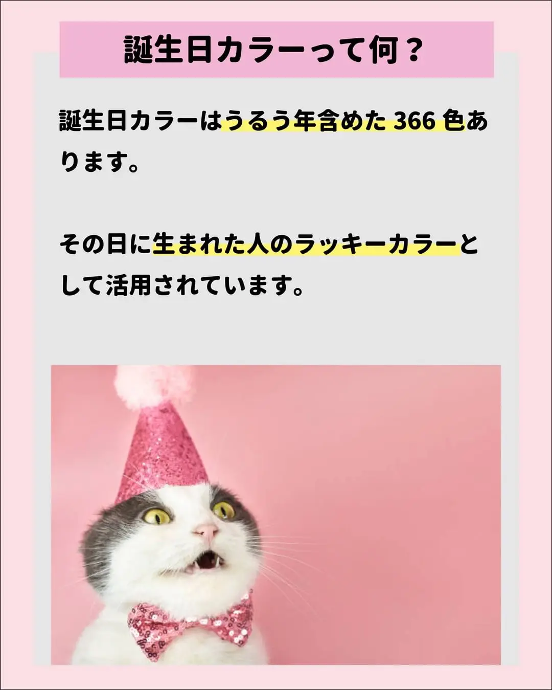 あなたの誕生日カラーは何色？】 | ねこにも_愛猫情報発信中が投稿した