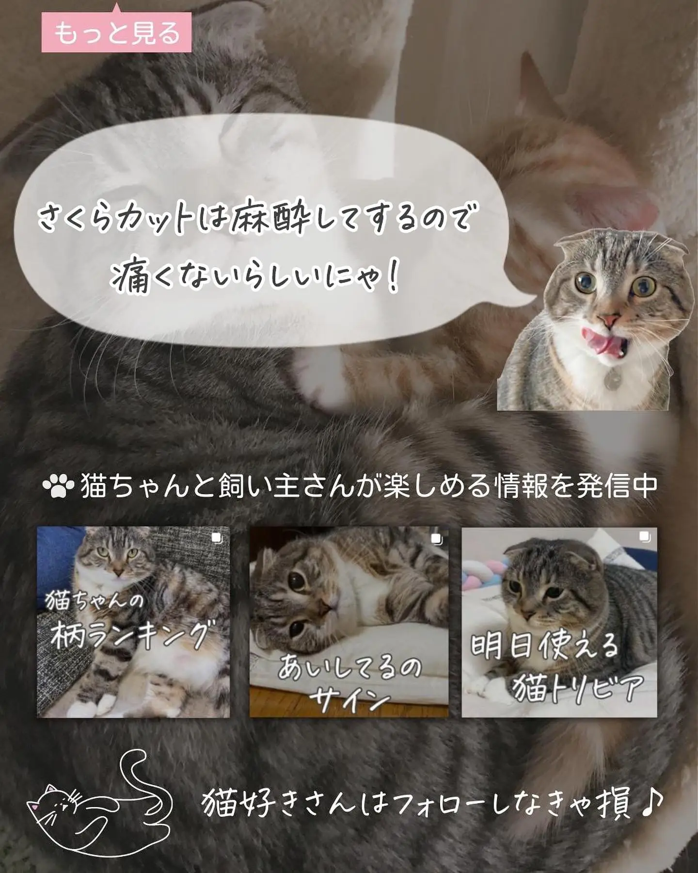 ぐでねこチャンとチェック柄ボタンくすみブルーヘアクリップトラネコ