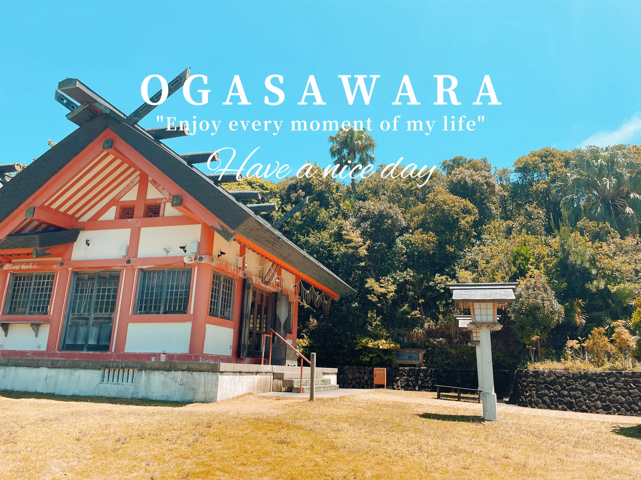 御朱印 小笠原諸島 父島 大神山神社 - その他