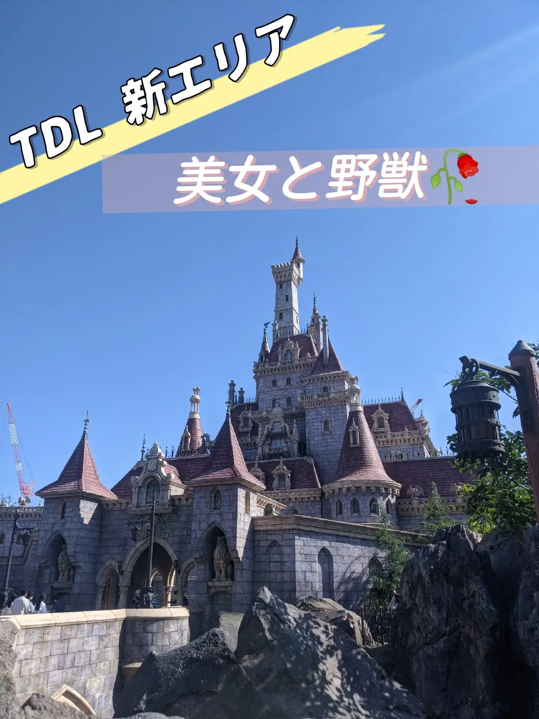 TDL 美女と野獣 新エリア🏰💕 | KAMIN72が投稿したフォトブック | Lemon8