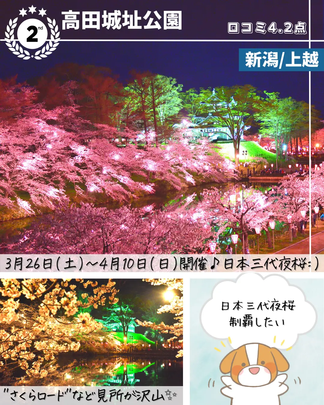 夜桜ライトアップ特集🌸✨の画像 (2枚目)