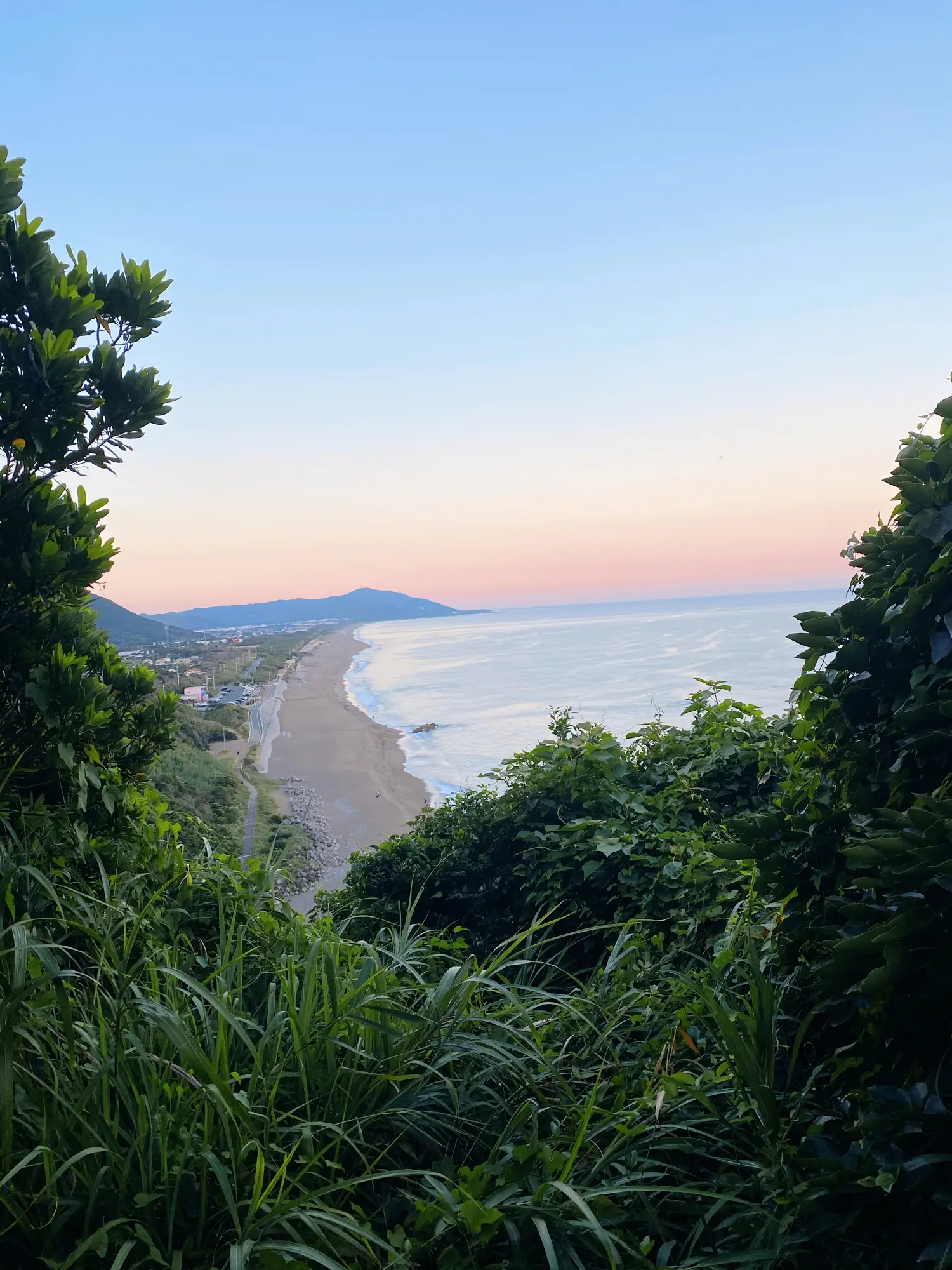 日本のハワイ発見🌴！まるで ハワイのような海岸線🌊🌺 | miiicamera