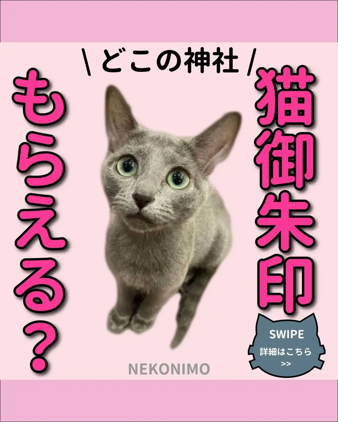 猫好き必見！京都観光のオススメ猫スポット - Lemon8検索