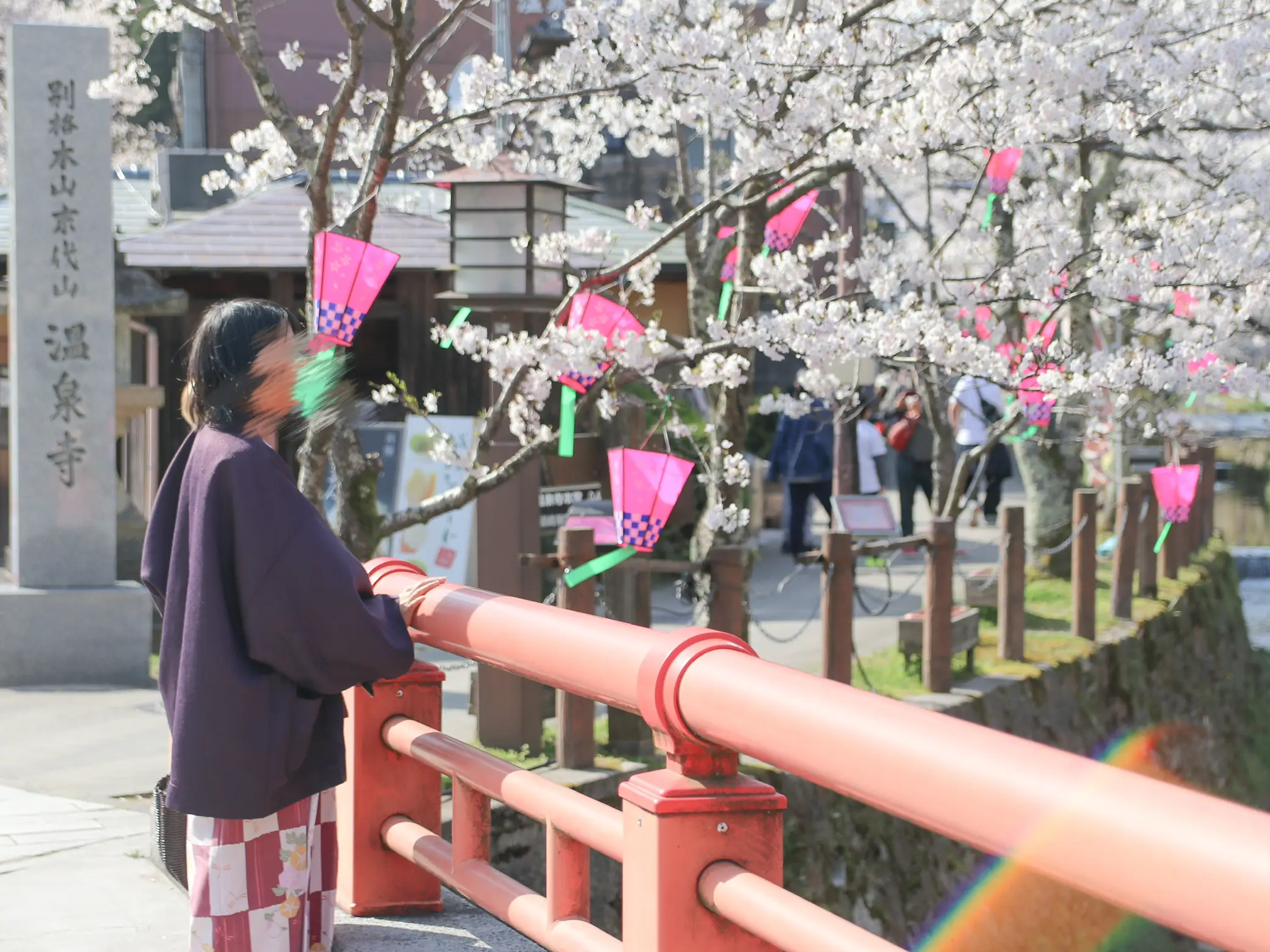 超人気入浴剤「さくら温泉ものがたり」1ヶ月分