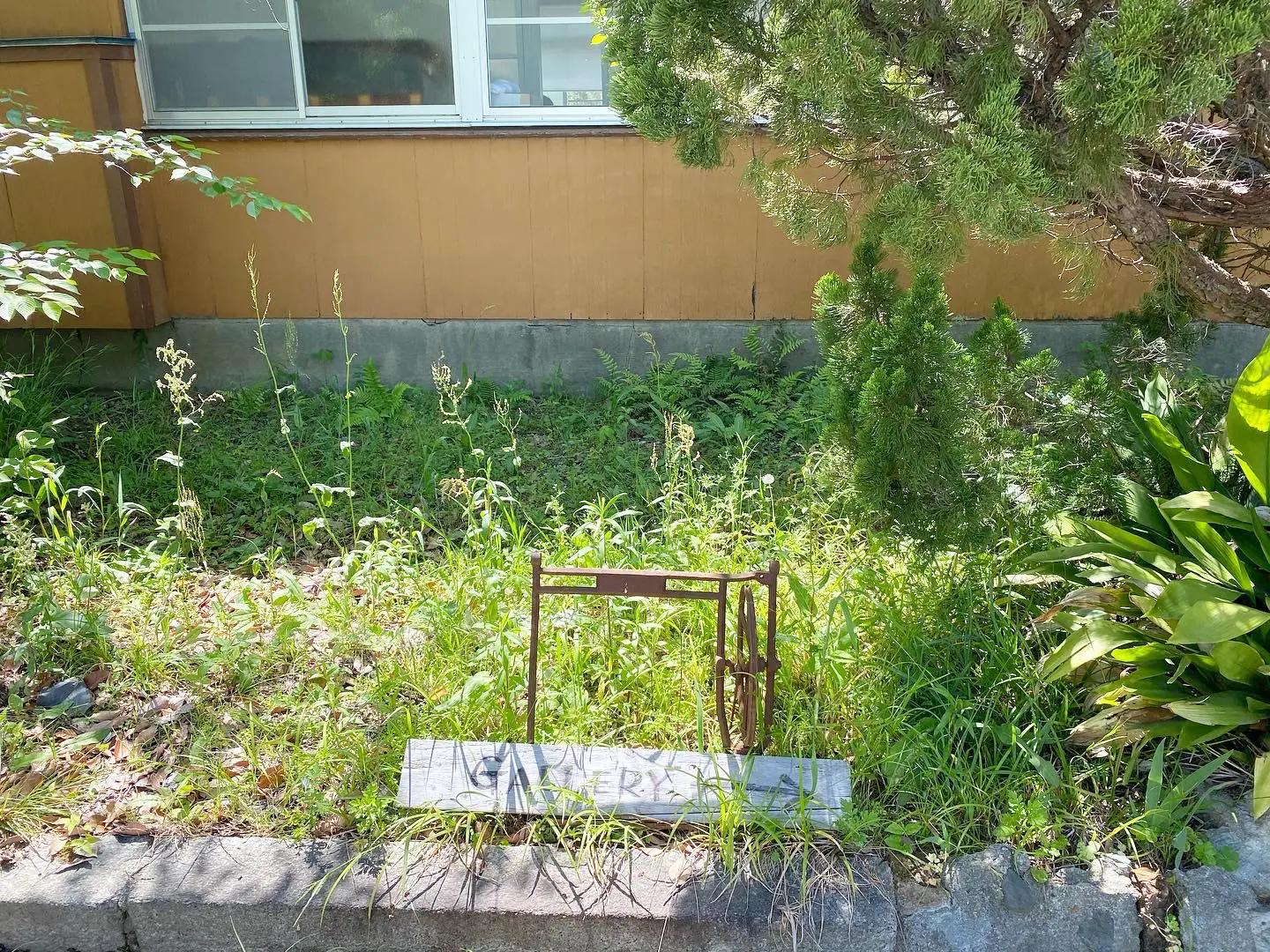 koyou - Lemon8検索