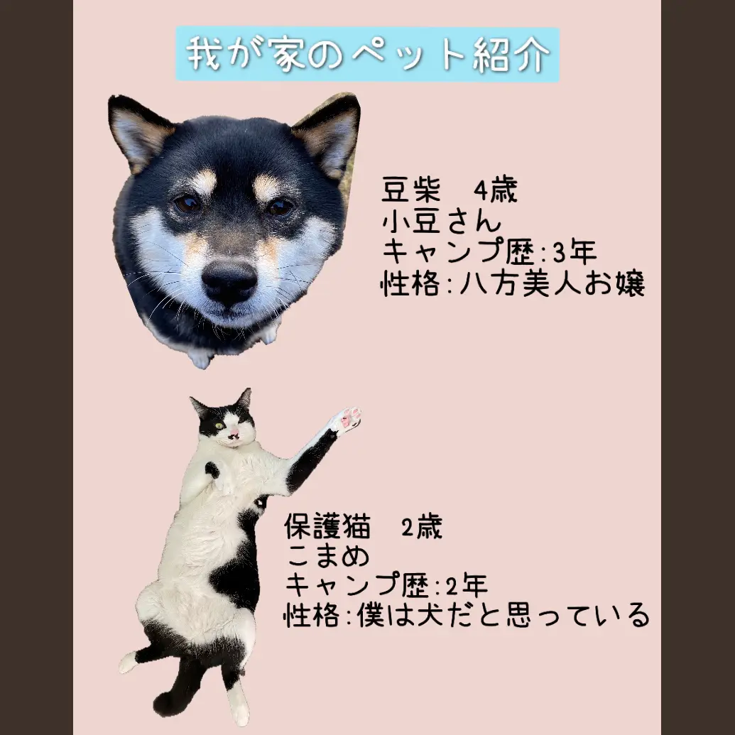 犬と猫とCAMPあるある】 | Mi...koが投稿したフォトブック | Lemon8