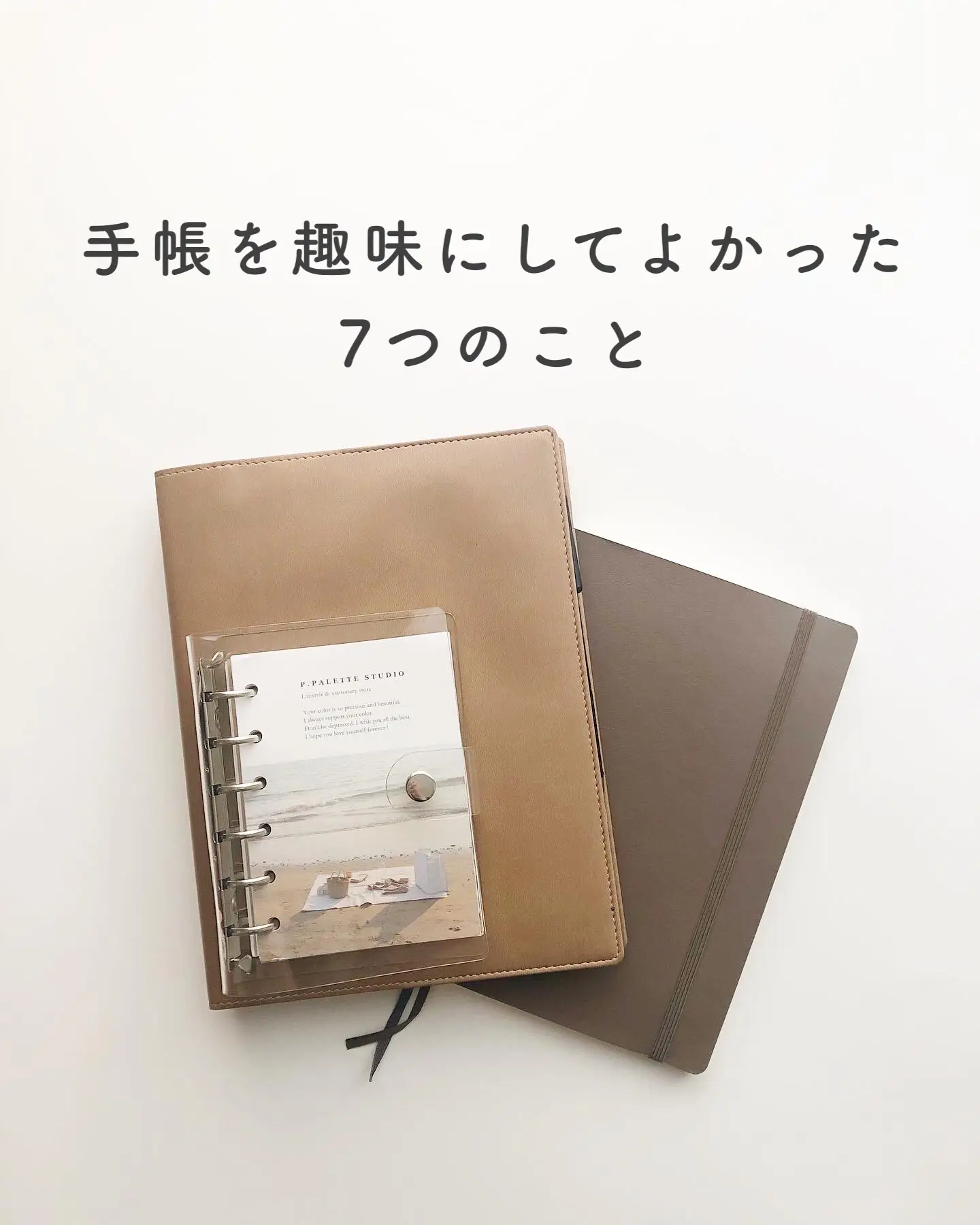 外への持ち出しなしP.PALETTE mini chocolate Diary システム手帳 - 手帳