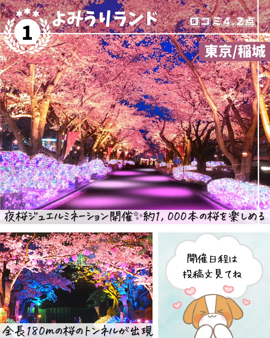 夜桜ライトアップ特集🌸✨の画像 (1枚目)
