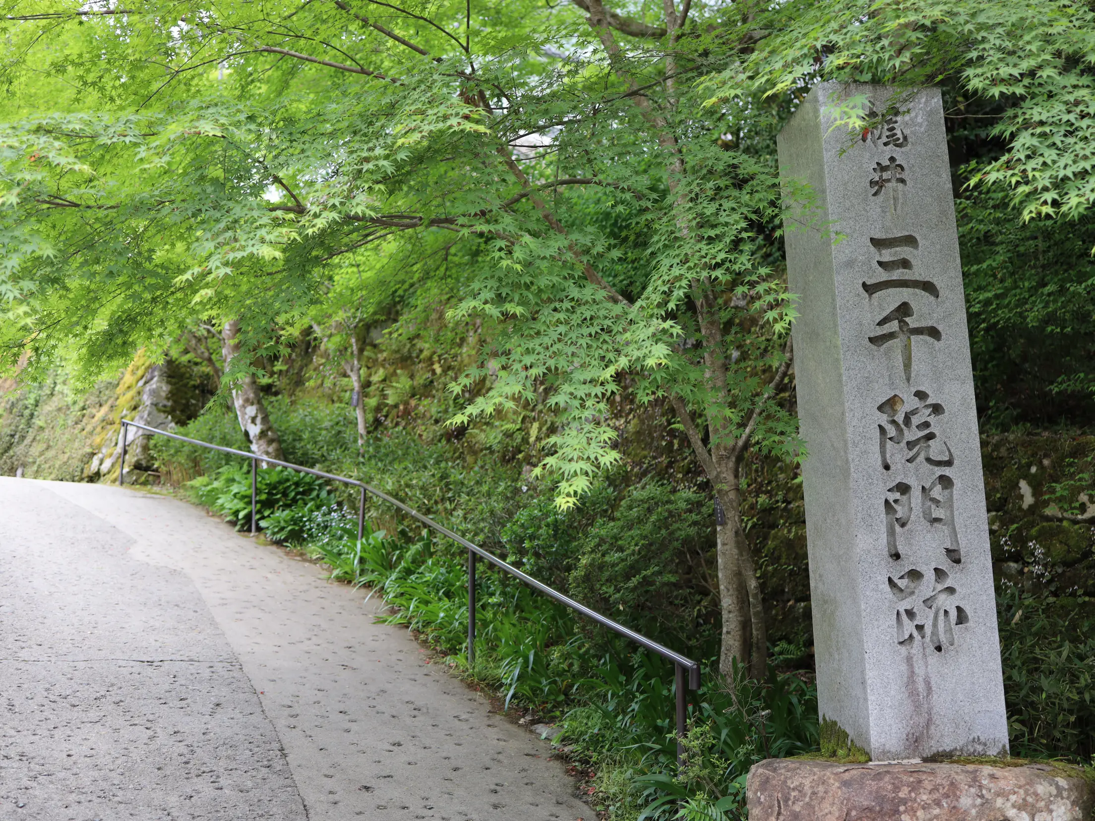 京都]新緑の「三千院」のわらべ地蔵さんに癒される💕💕💕 | あろはれ