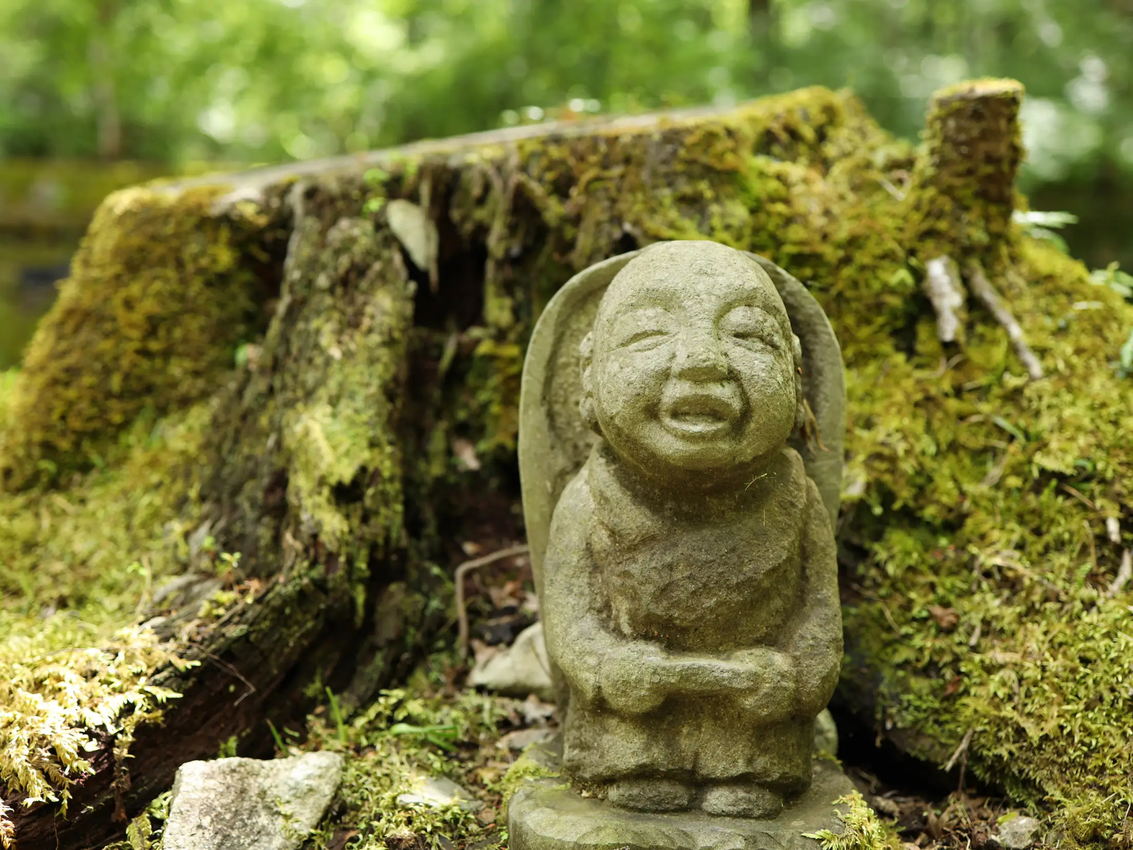 京都]新緑の「三千院」のわらべ地蔵さんに癒される💕💕💕 | あろはれ