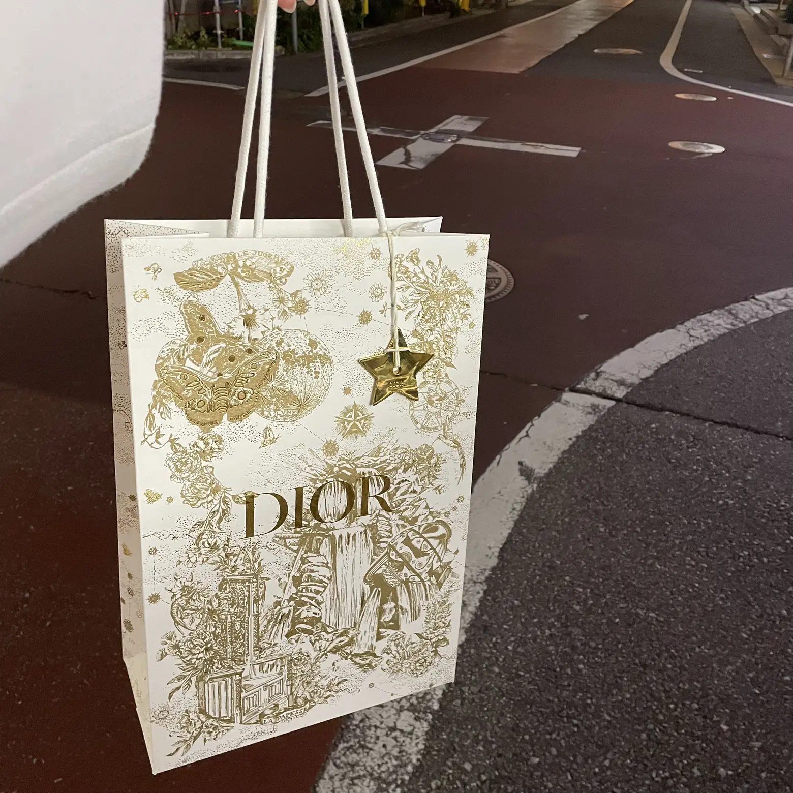 ❗️本日限定価格❗️DIOR 共通 ボウリングバック 正規