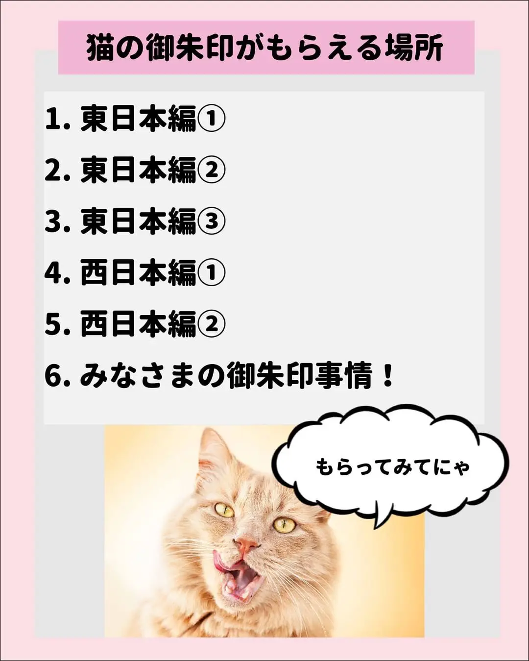 猫の御朱印がもらえる神社・寺一覧】 | ねこにも_愛猫情報発信中が投稿したフォトブック | Lemon8