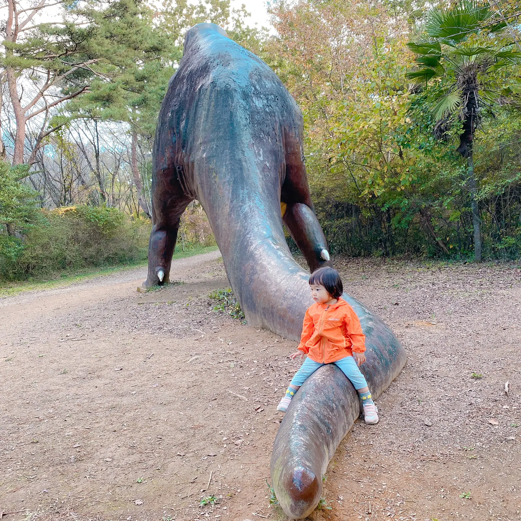 水戸 森林公園 セール ベビーカー