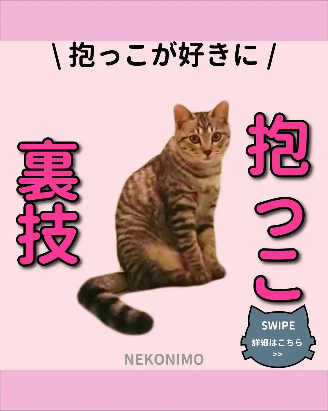 だっこが嫌いな猫 - Lemon8検索