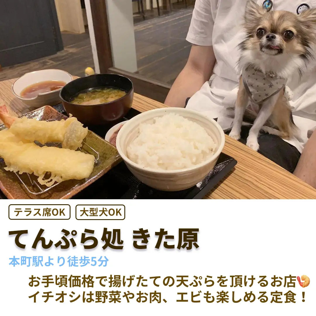 大阪ペット同伴和食