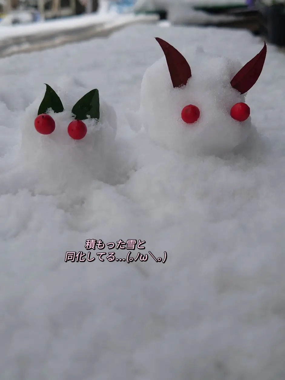 I made a snow rabbit ~ (◍ • ᴗ • ◍)❤ | Gallery posted by みぃみ3853 | Lemon8