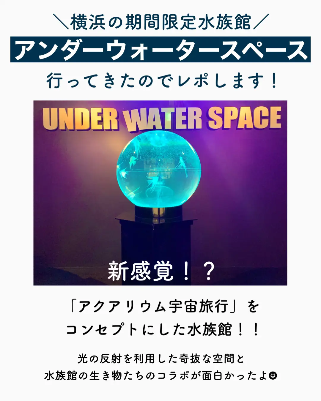 横浜】異世界水族館！アンダーウォータースペース | もえ✈︎お得に旅するOLが投稿したフォトブック | Lemon8