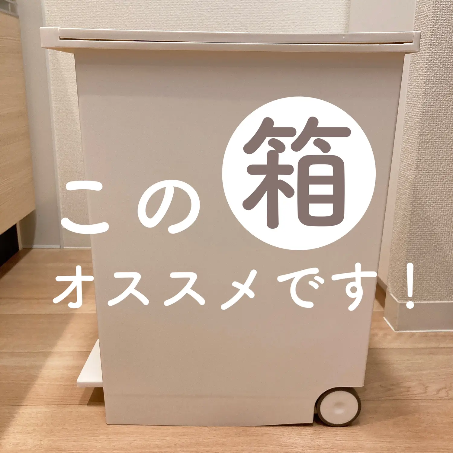 ケユカ ダストボックス ゴミ箱 Lサイズ 27L ホワイト 2個セット 着こ