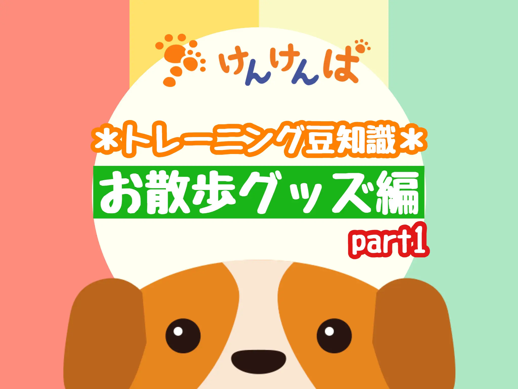 お散歩グッズについて | 犬のしつけ教室けんけんぱが投稿したフォト