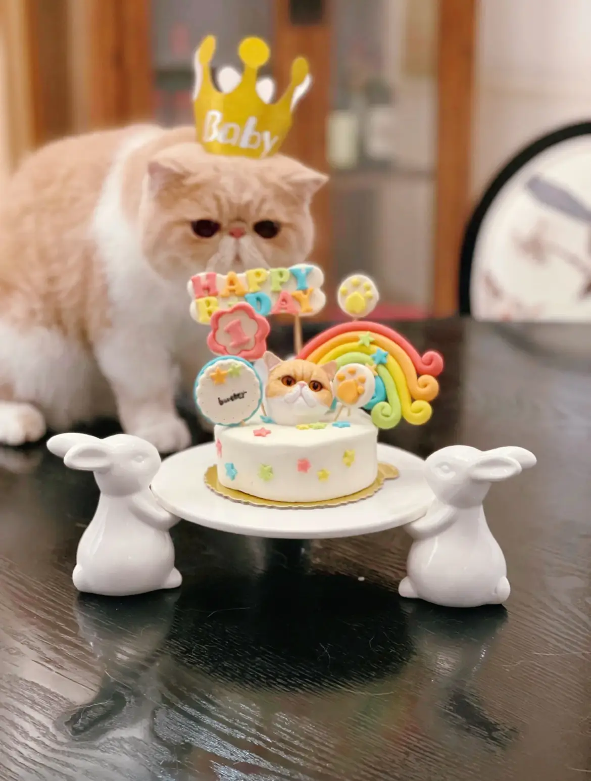 ♡お誕生日プレート♡ 【⑤あにまる(強強)】