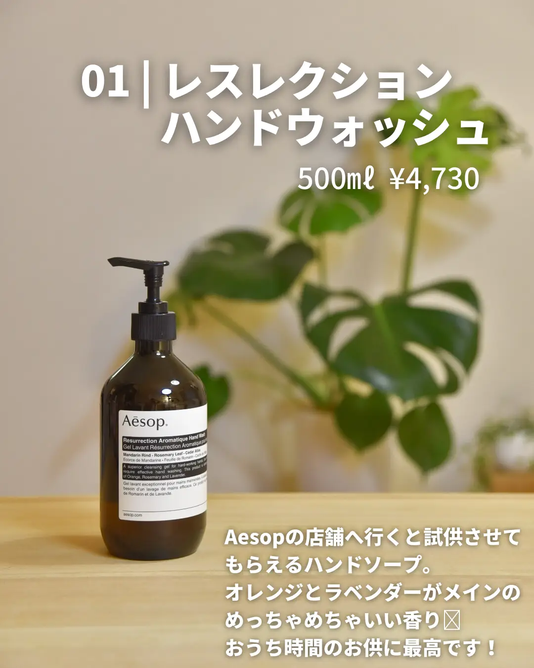 イソップ Aesop ハンドウォッシュ モイスチャーフェイシャルイド 