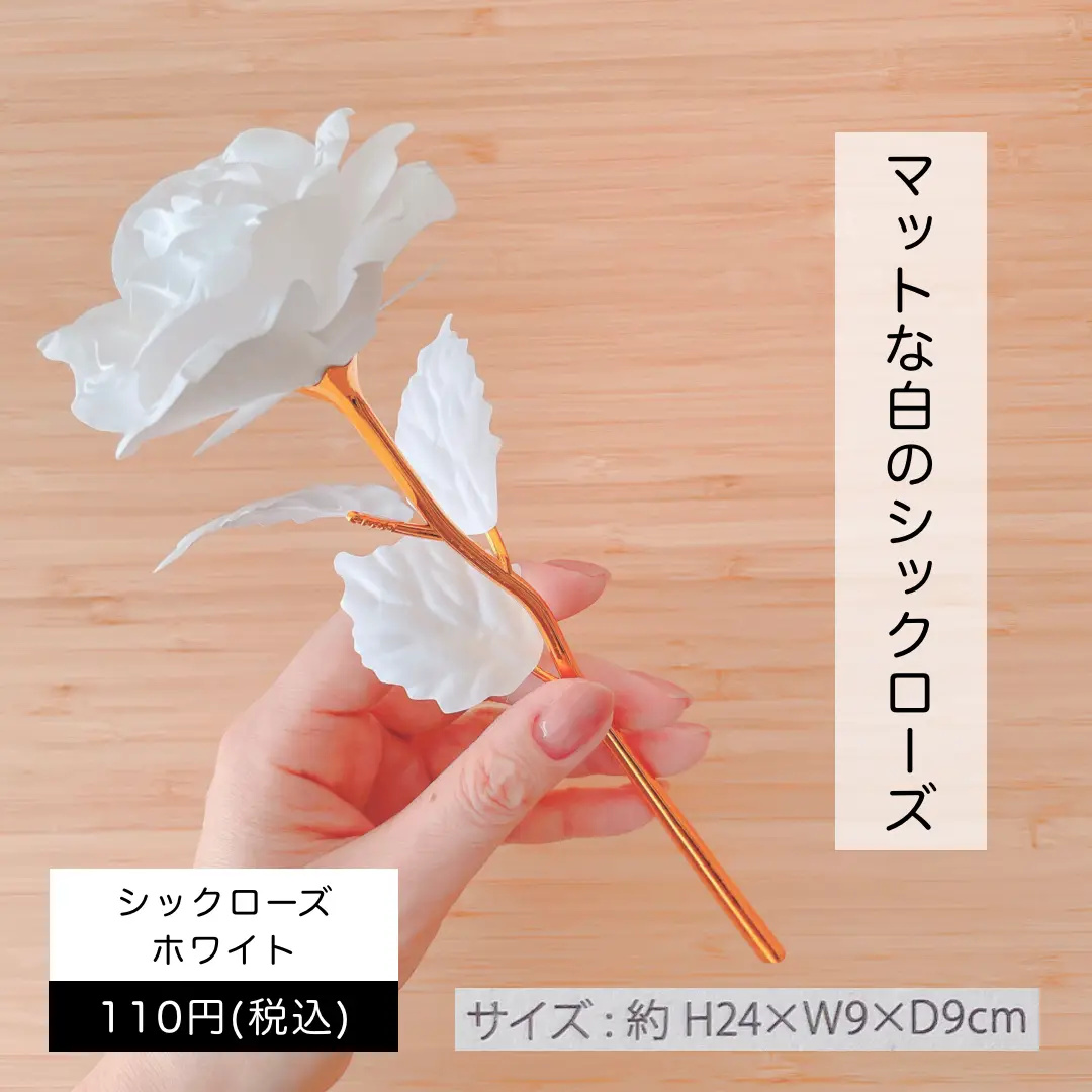 高藤聡一郎　等身大　遁甲　瞑想　気功 遁甲布 遁甲 瞑想盤 高藤聡一郎 仙道 魔術 気功 等身大遁甲布 超能力 超感覚