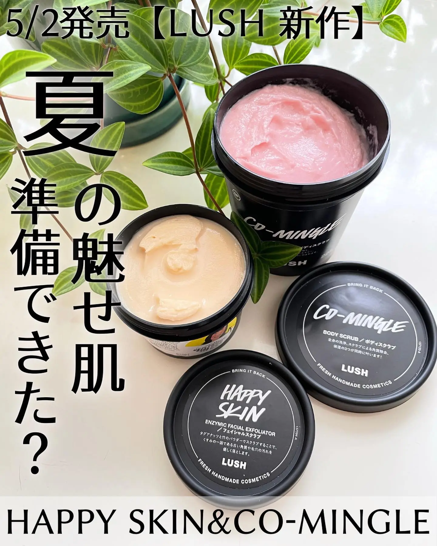 LUSH HAPPY SKIN フェイシャルスクラブ 100g - パック・フェイスマスク