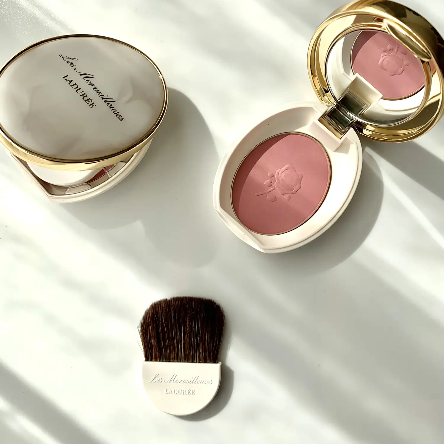 LADUREE チーク 6周年 限定 オウム キバタン