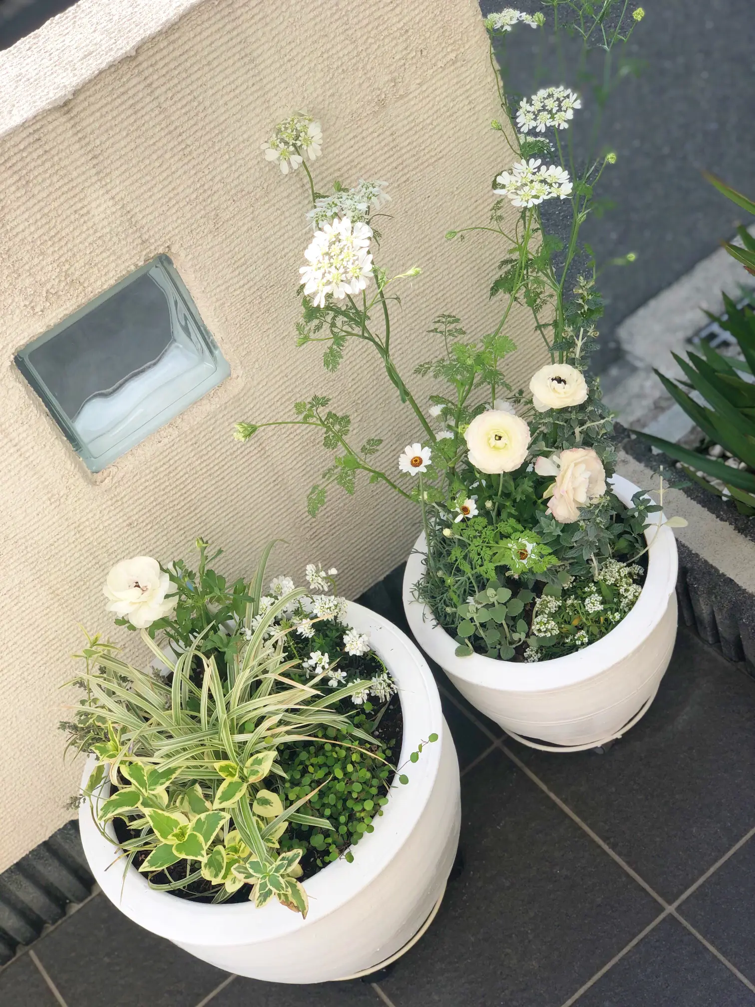 自分でペイントした植木鉢に寄せ植え | 蒼月樹莉愛が投稿したフォト 