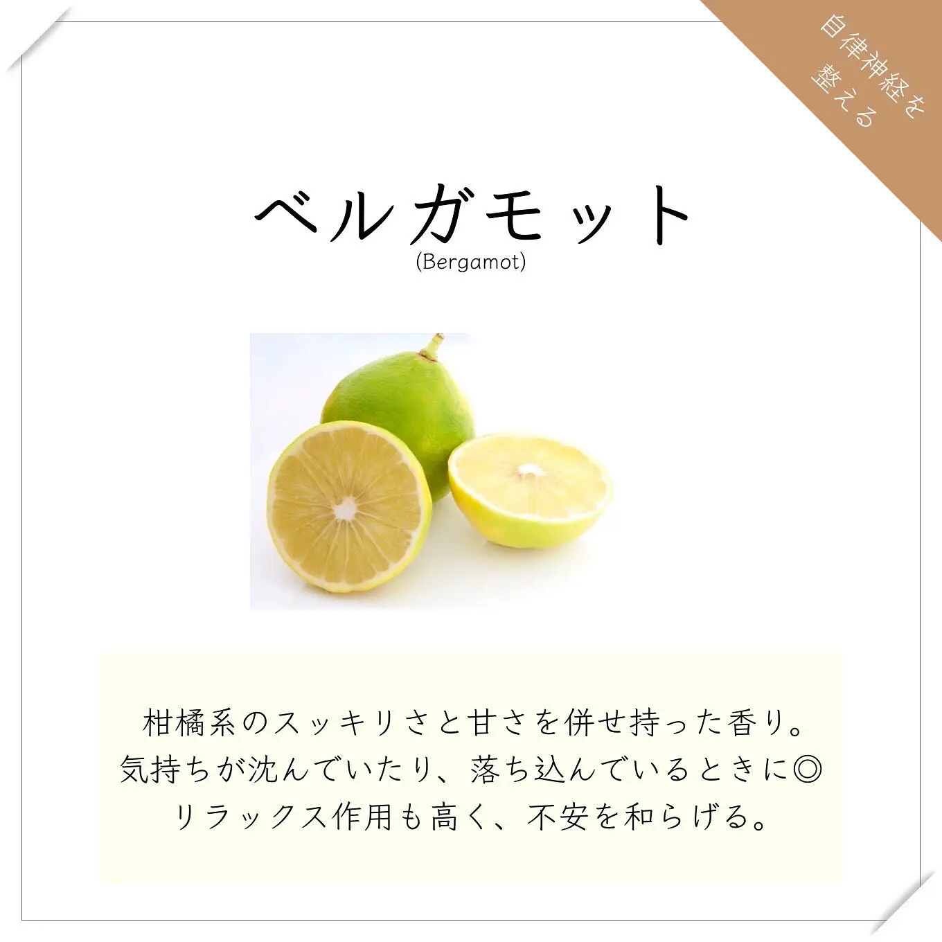精神不安定香りお香 - Lemon8検索