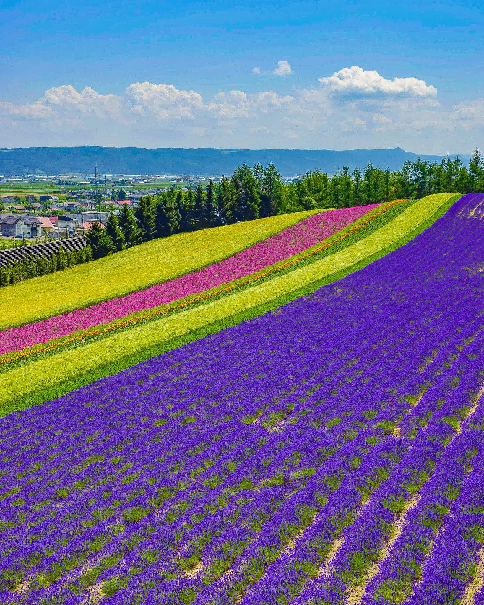 ハーバリウム しょぼ japanese【つまみ細工付、ほんのりラベンダー桜ボトル】