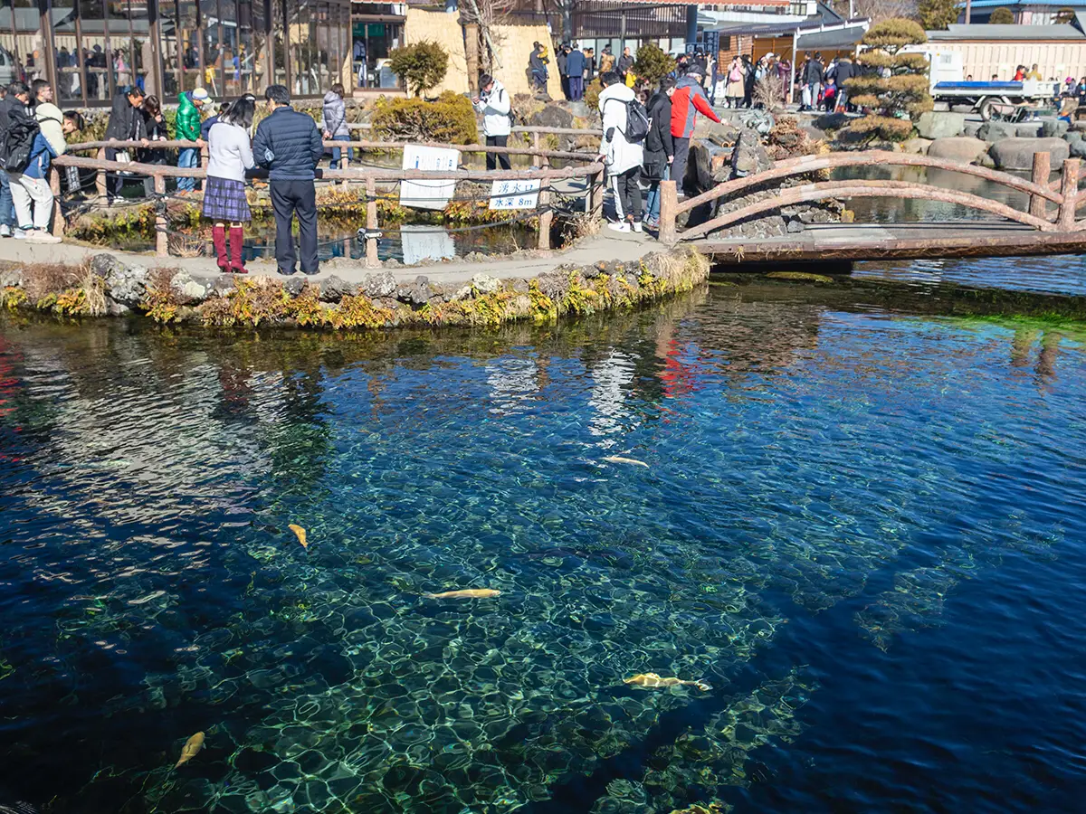 富士山の湧き水があふれる、山梨県「忍野八海」 | 敦子が投稿したフォトブック | Lemon8