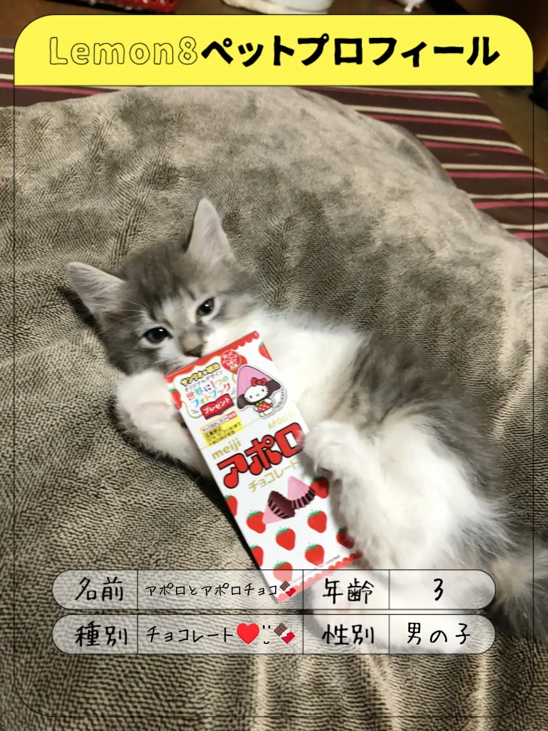【ネコ 天使たちの クリスマスツリー】★ライトアップ　子猫てんこ盛り ※訳ありA Amazon.co.jp: ネコ 天使たちの クリスマスツリー☆ライトアップ