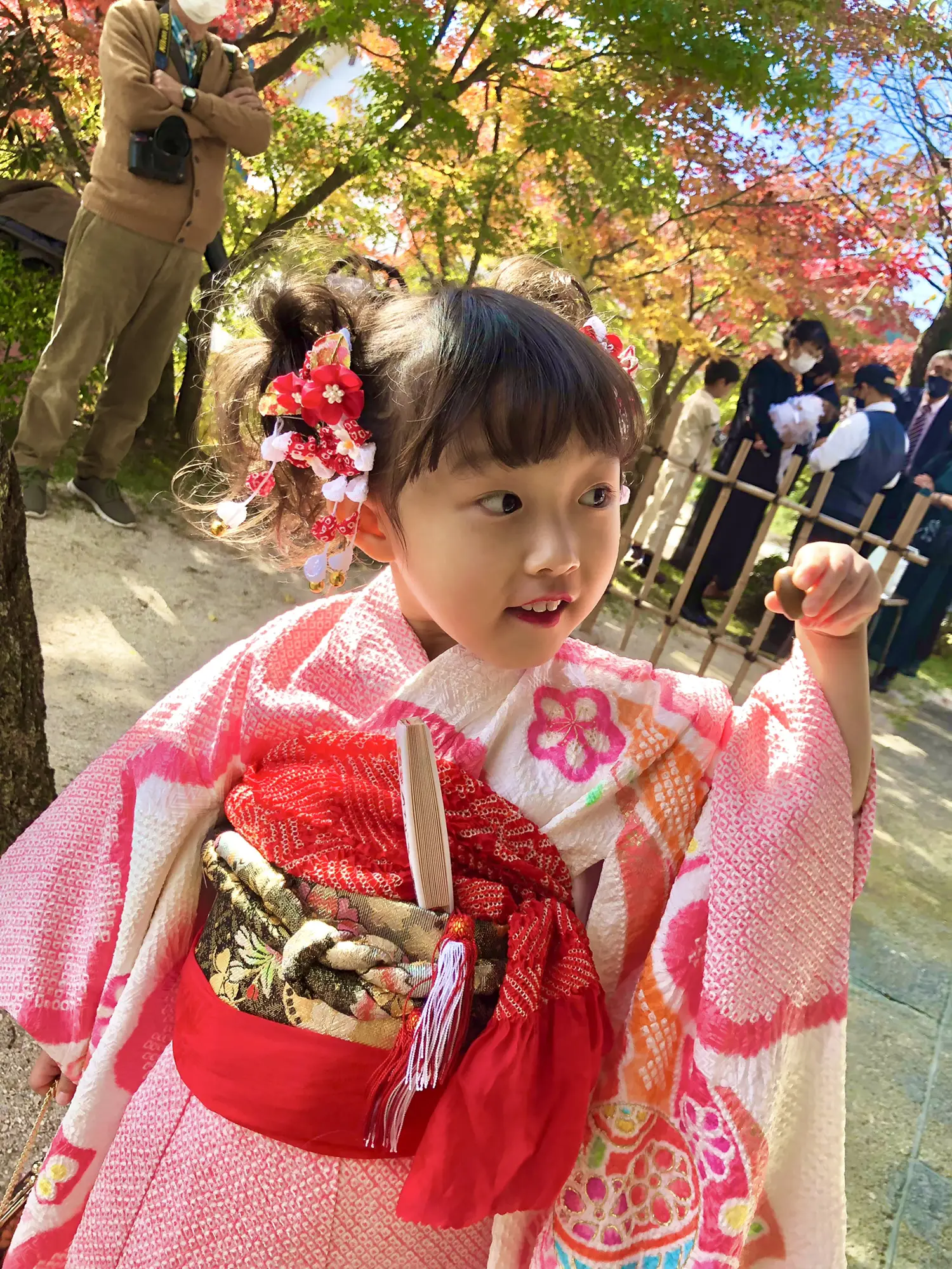 シンプル着物で、お姉さん気分で753鹿児島県になります - 和服