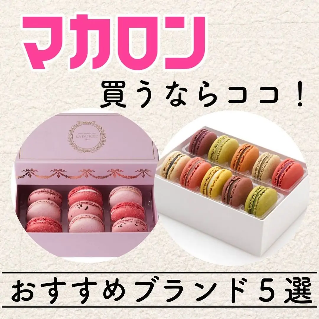 Top-Rated Macarons - Lemon8検索