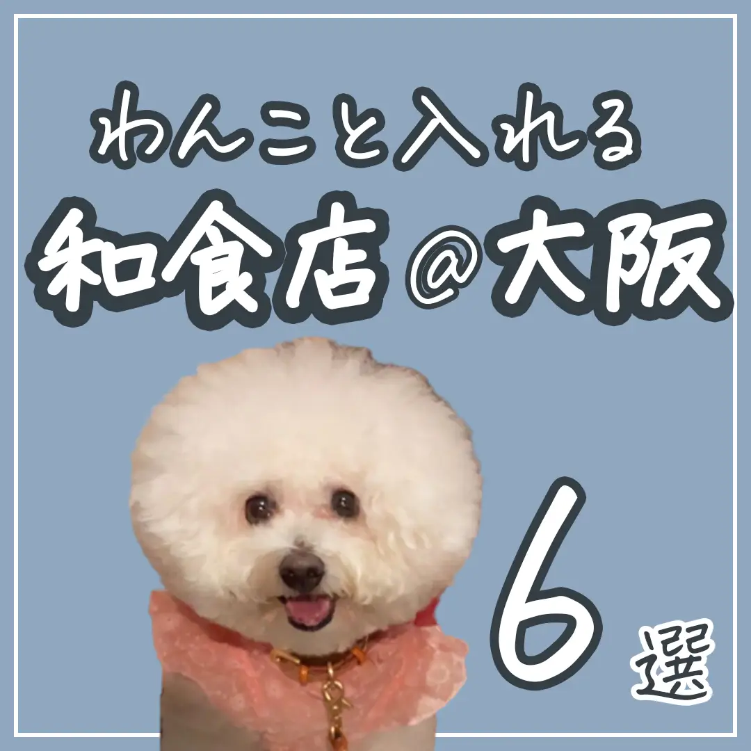 看板犬のいるお店大阪 - Lemon8検索