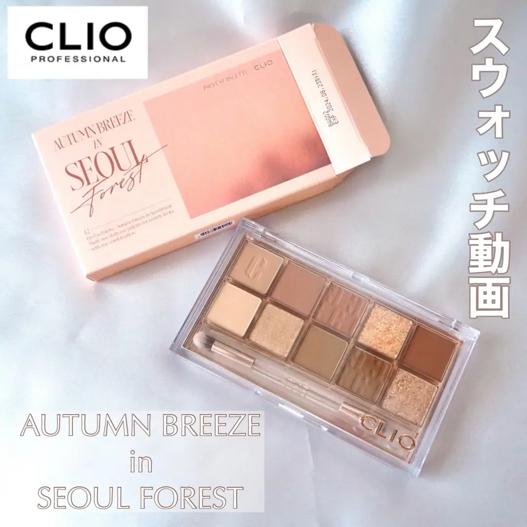 CLIO プロアイパレット AUTUMN BREEZE in SEOUL FOREST