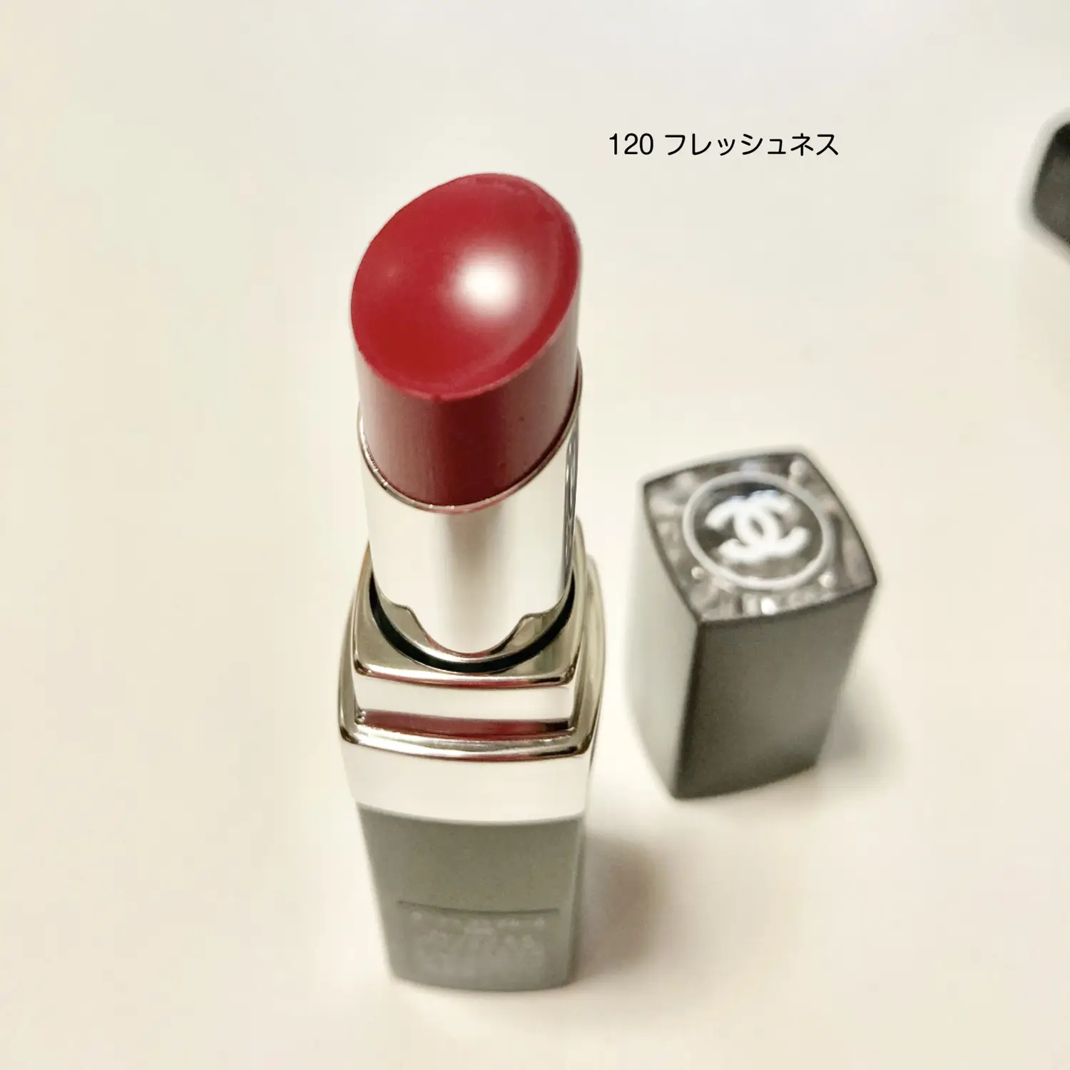 CHANEL Rouge Coco Bloom Cute Brown Lip, Gallery posted by AMITY
