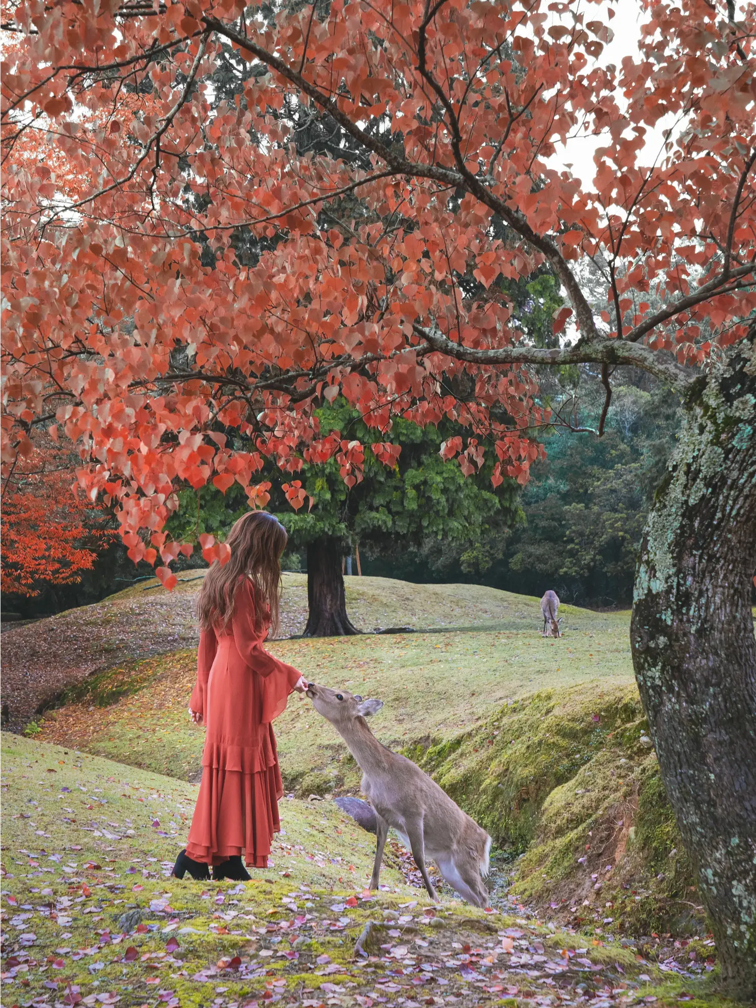 木彫りお重21 紅葉