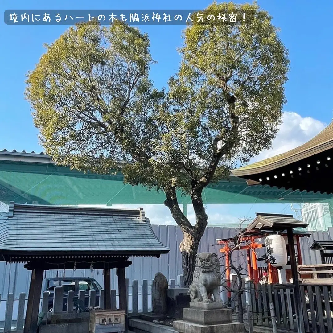 玉置神社 魔除け札 お守り 御札 奈良県 パワースポット - アンティーク/コレクション