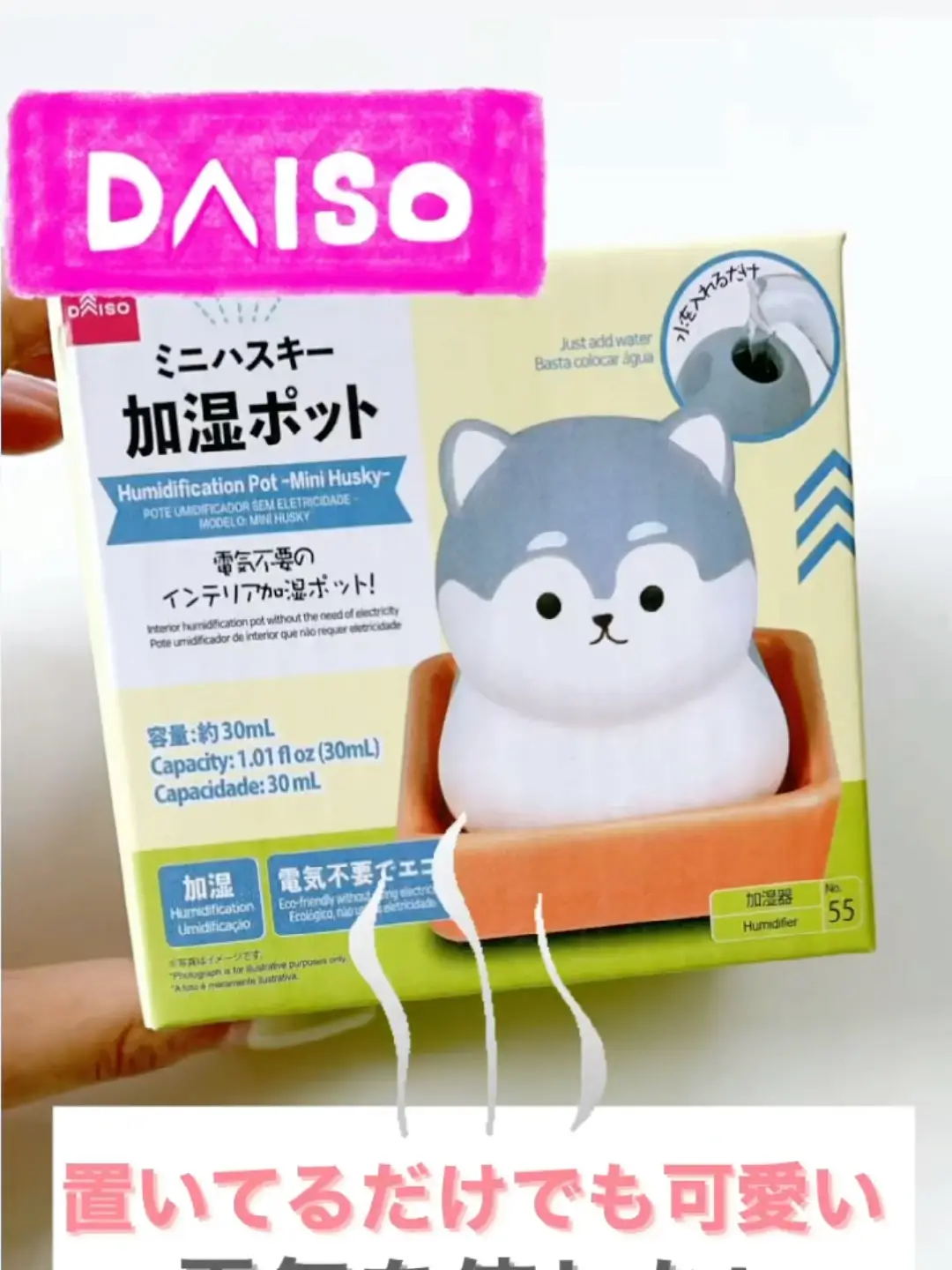 素人　マイクロミニスキャンティー ダイソー】加湿ポット🫖🐶 | cocotte_lifeの投稿動画 | Lemon8