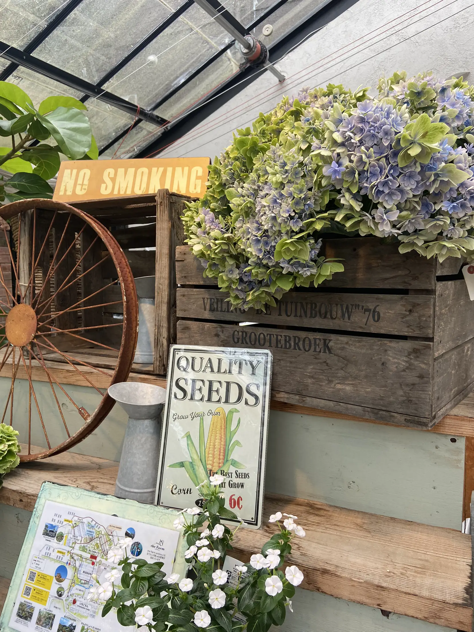 欲しい植物が必ず手に入る   | あさうらあんずが投稿したフォトブック